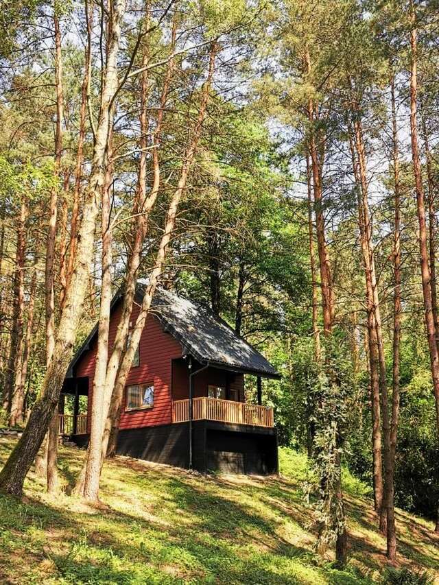 Дома для отпуска Menkupys Pakruopiskiai-24
